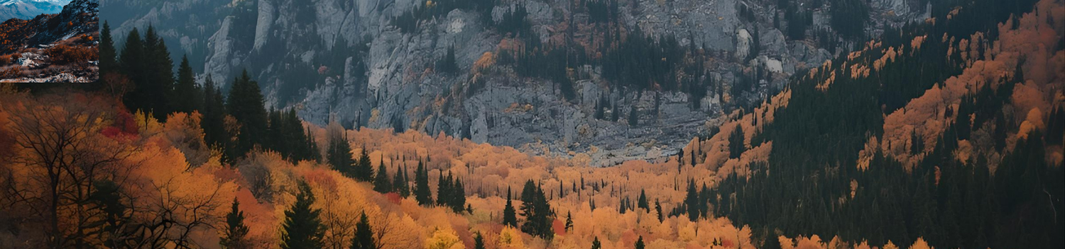 paesaggio di montagna con alberi tipicamente autunnali